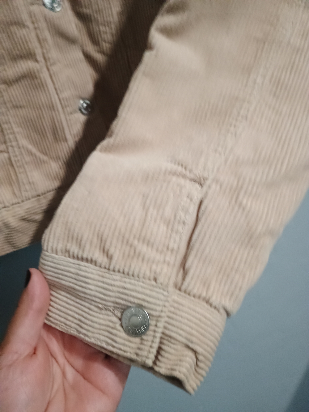 Forever 21 Beige Corduroy Teddy Collar Jacket - Picture 5 of 11
